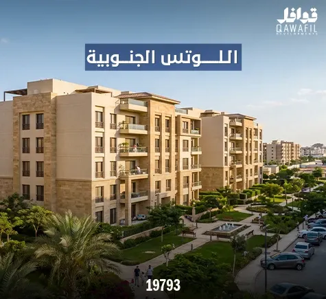 اللوتس الجنوبية