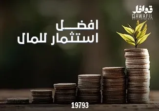 أفضل استثمار للمال