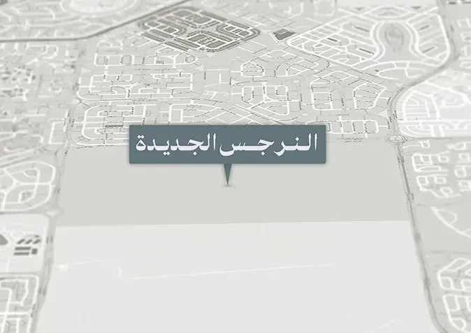 النرجس الجديدة