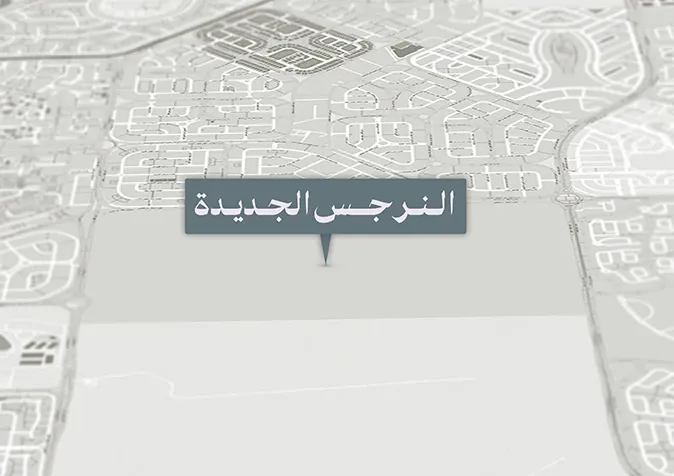 NEW NARGES